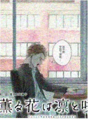 声优的夏天缩略图